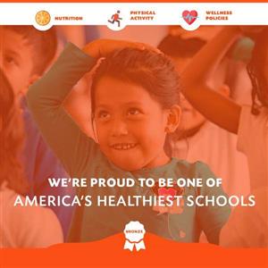 Bronze Healthiest School 